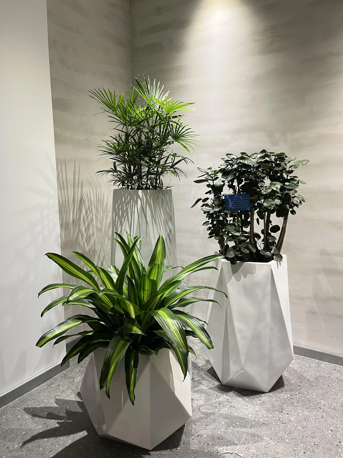 玻璃钢组合造景