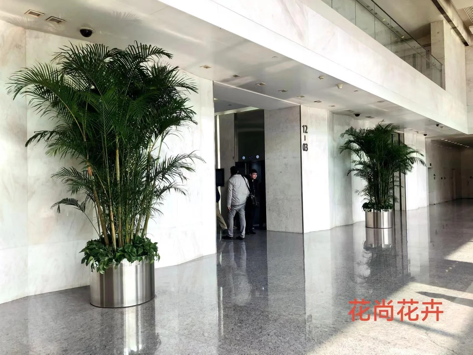 酒店大堂绿植实景