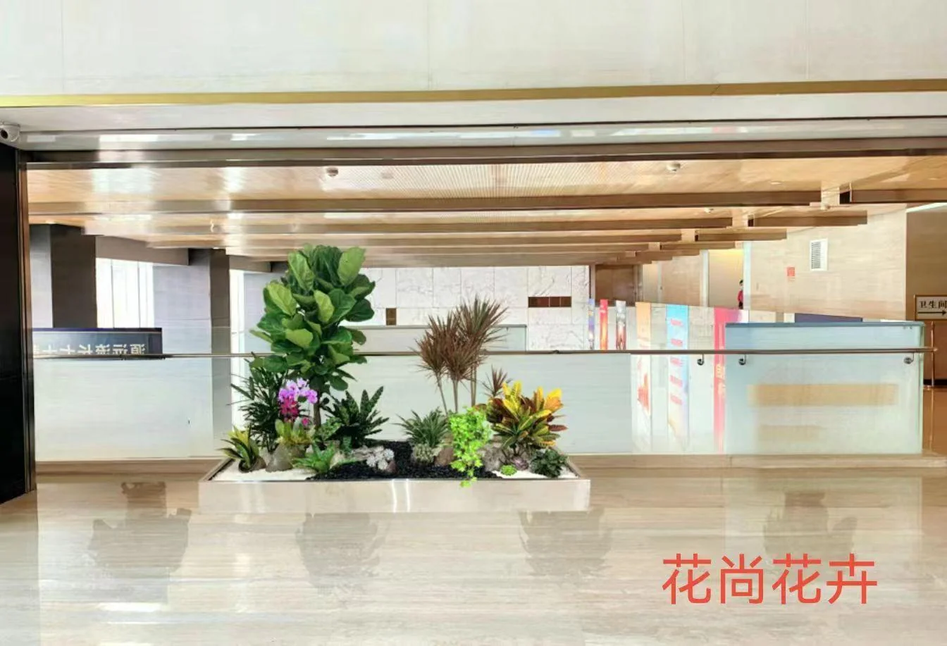 商场绿植实景
