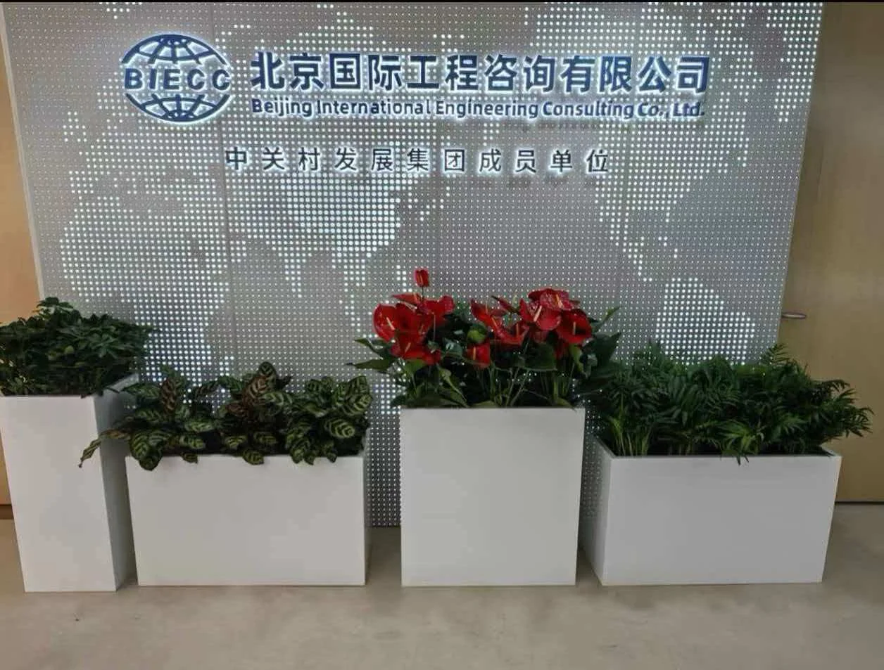 北京国际工程咨询有限公司｜办公公共区域绿植