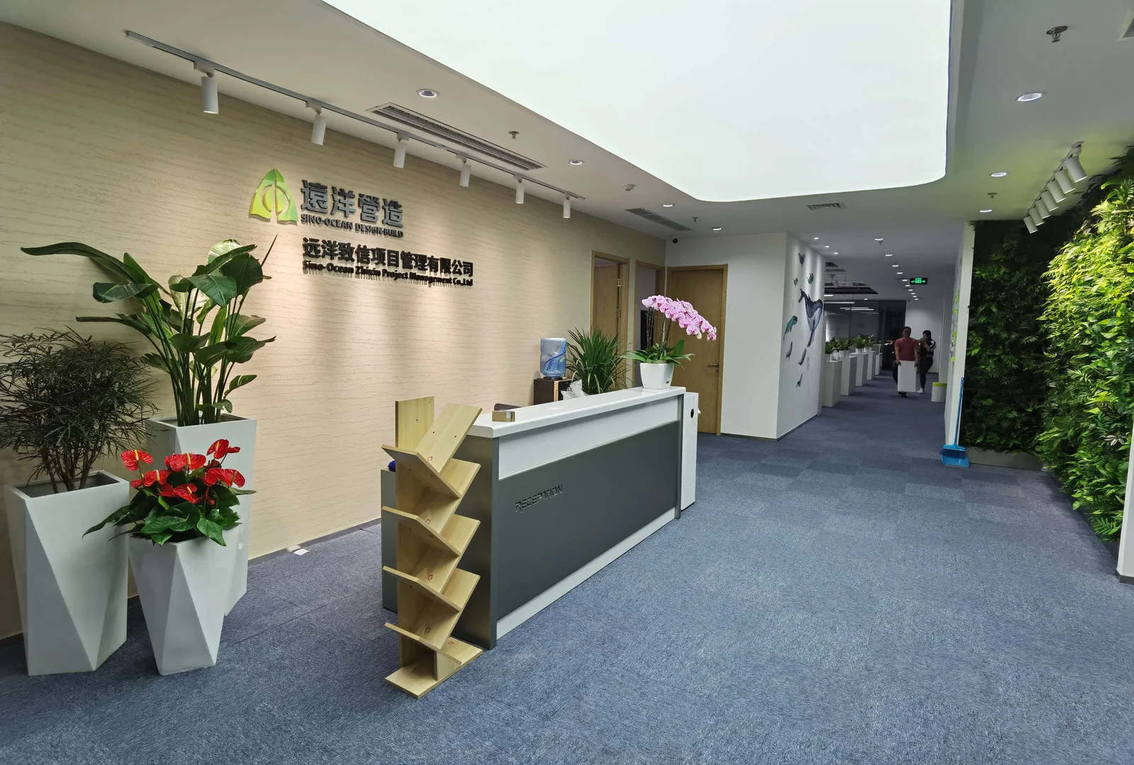 企业接待区绿植与花卉