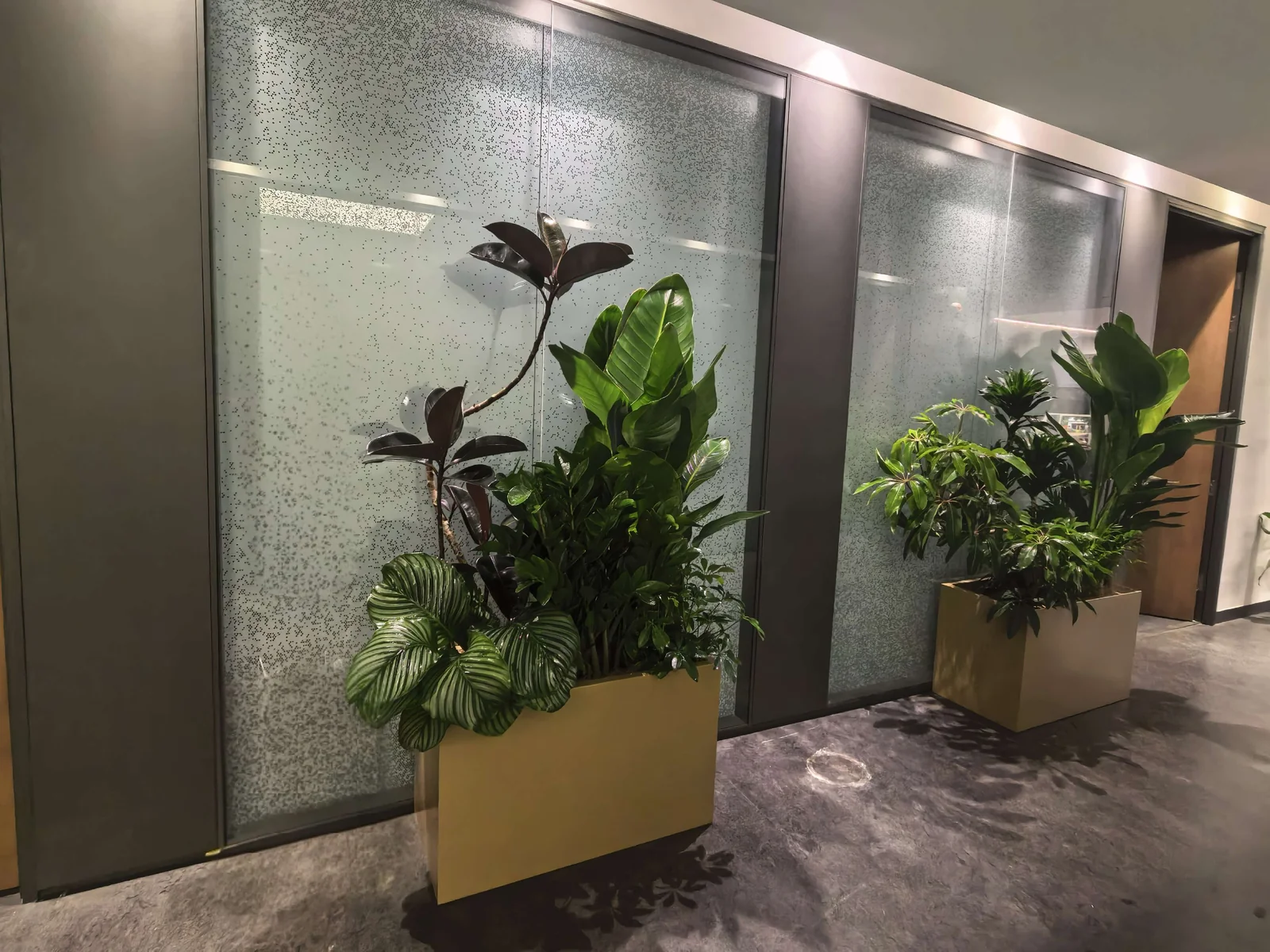 走廊组合花器与绿植