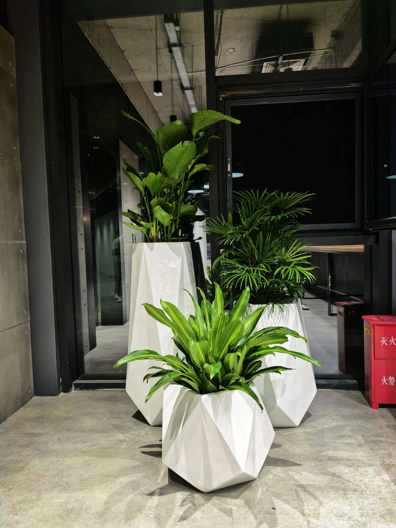 几何花器与高低绿植组合