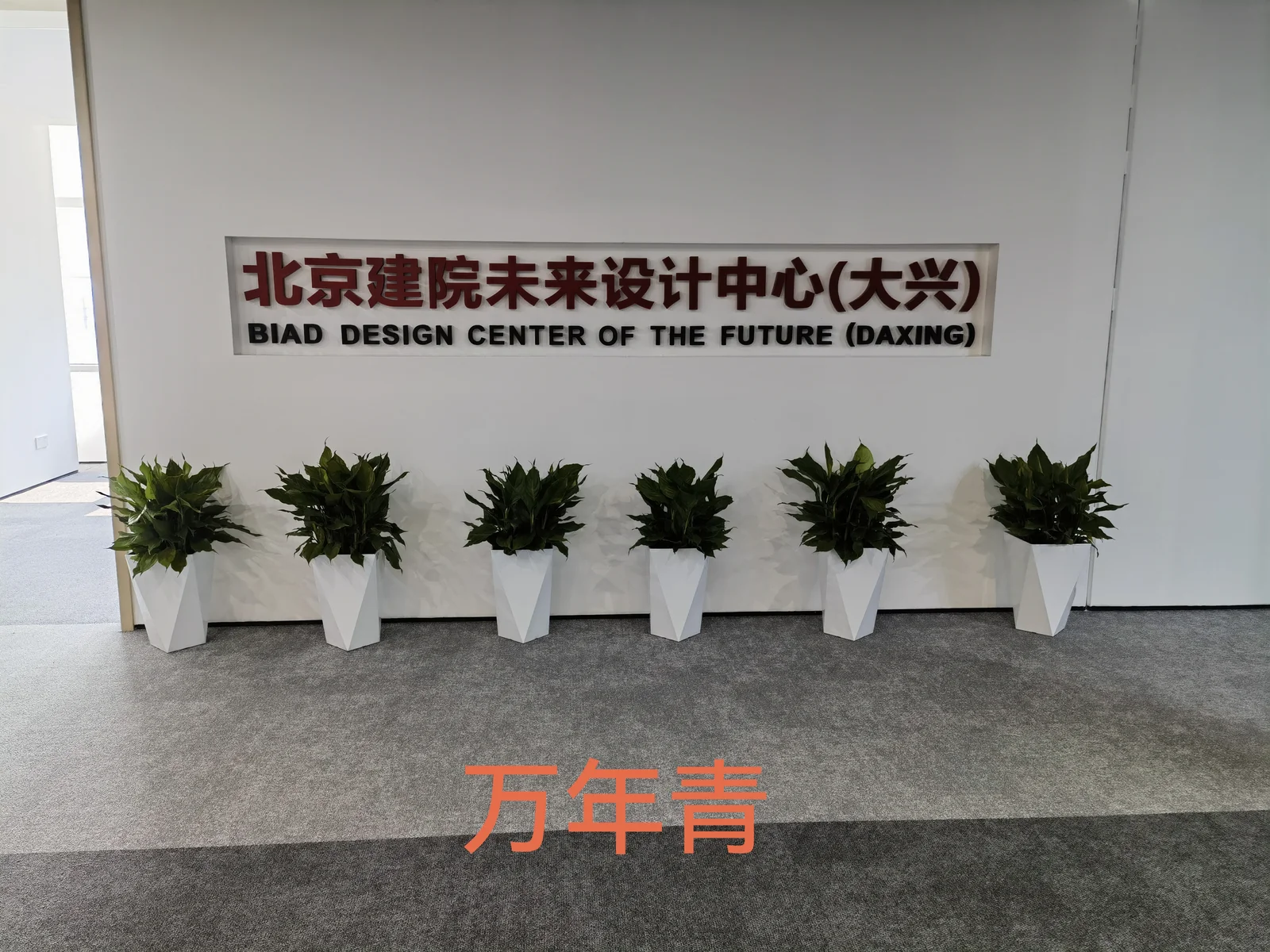 北京建筑未来设计中心（大兴）｜门厅绿植
