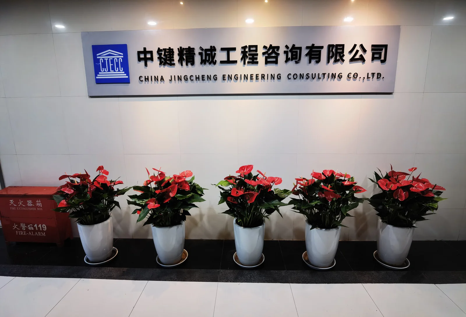 中建精诚工程咨询有限公司｜前台盆花