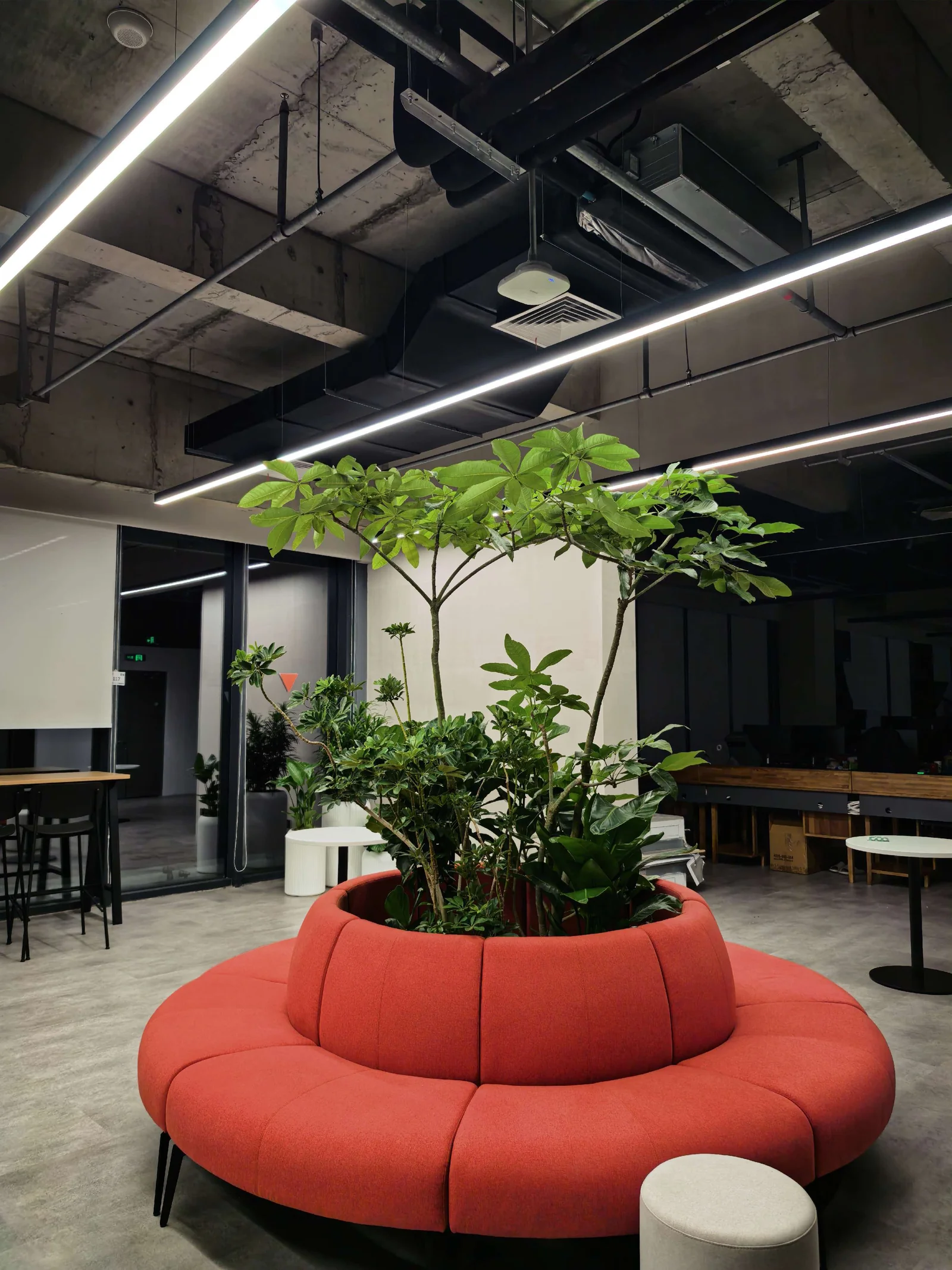 休闲座椅与植物组合