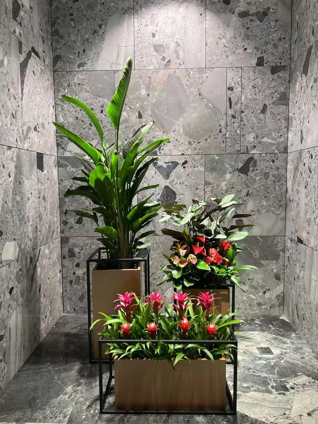 金属花器与观叶观花植物搭配