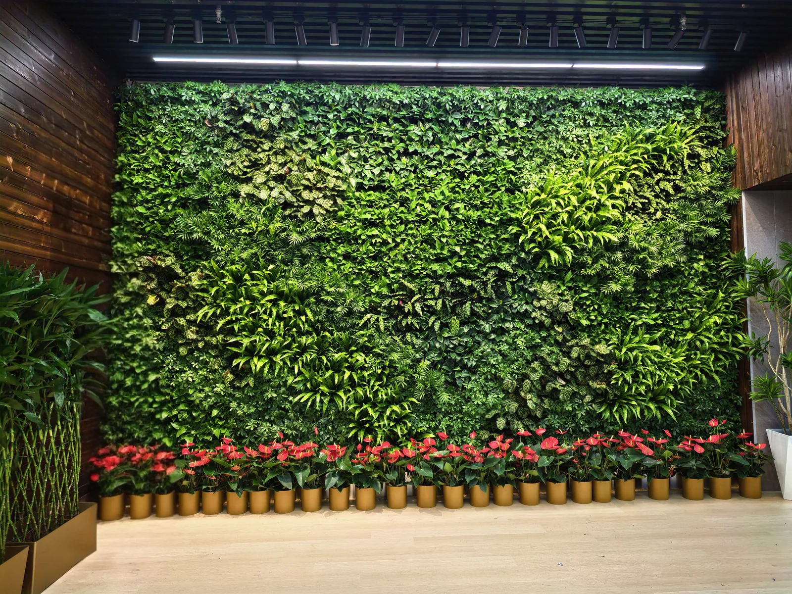 室内绿植墙与盆花
