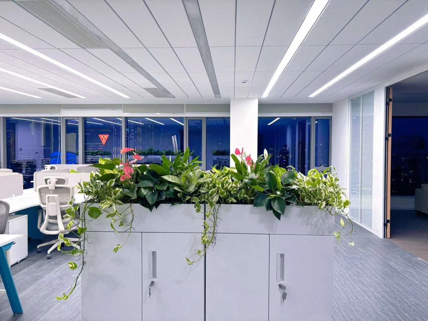 办公区柜面绿植组合